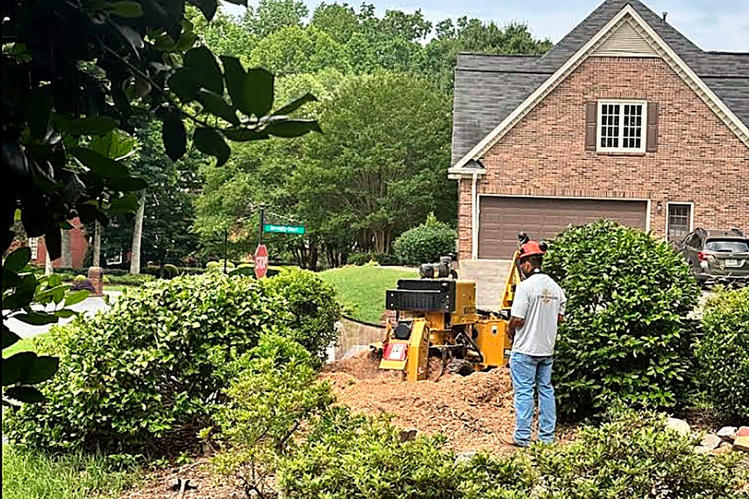 Roberto's crew member grinding a stump in front of a brick home in a north Atlanta neighborhood